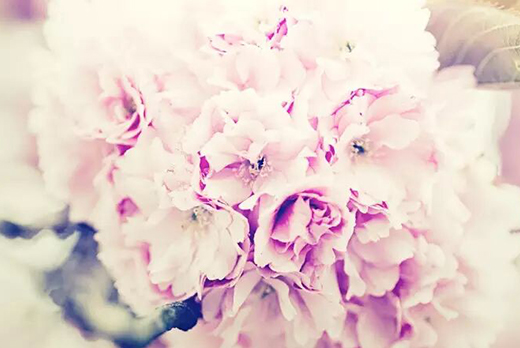 文饰名人 | 张艳红—爱在海南，美在人间